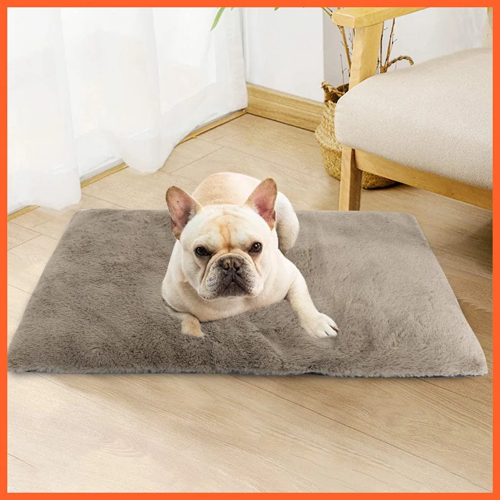 Dog Cat Bed Mat Warm Soft Fleece Puppy Sleeping Cushion Nest Mattress Sofa Beds