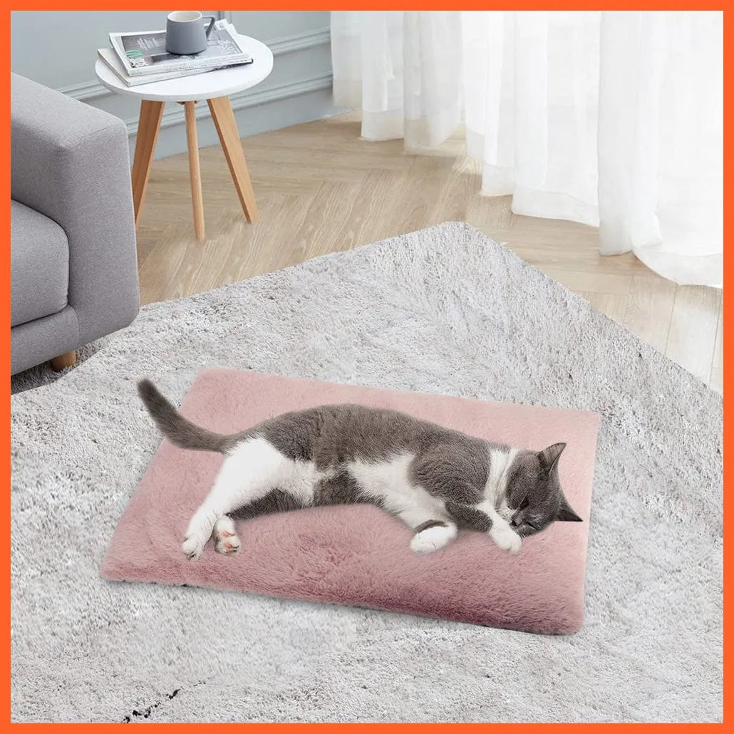 Dog Cat Bed Mat Warm Soft Fleece Puppy Sleeping Cushion Nest Mattress Sofa Beds