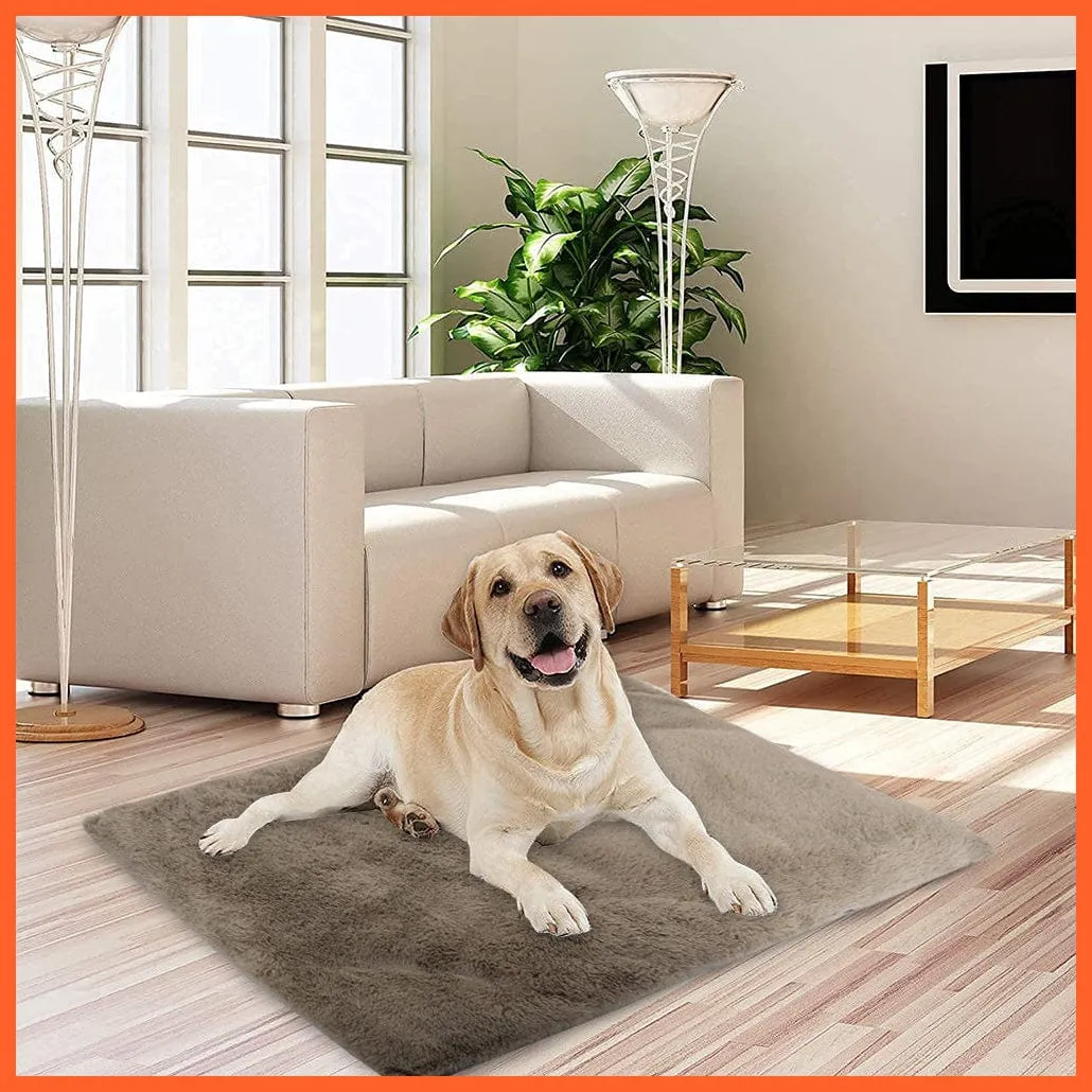 Dog Cat Bed Mat Warm Soft Fleece Puppy Sleeping Cushion Nest Mattress Sofa Beds