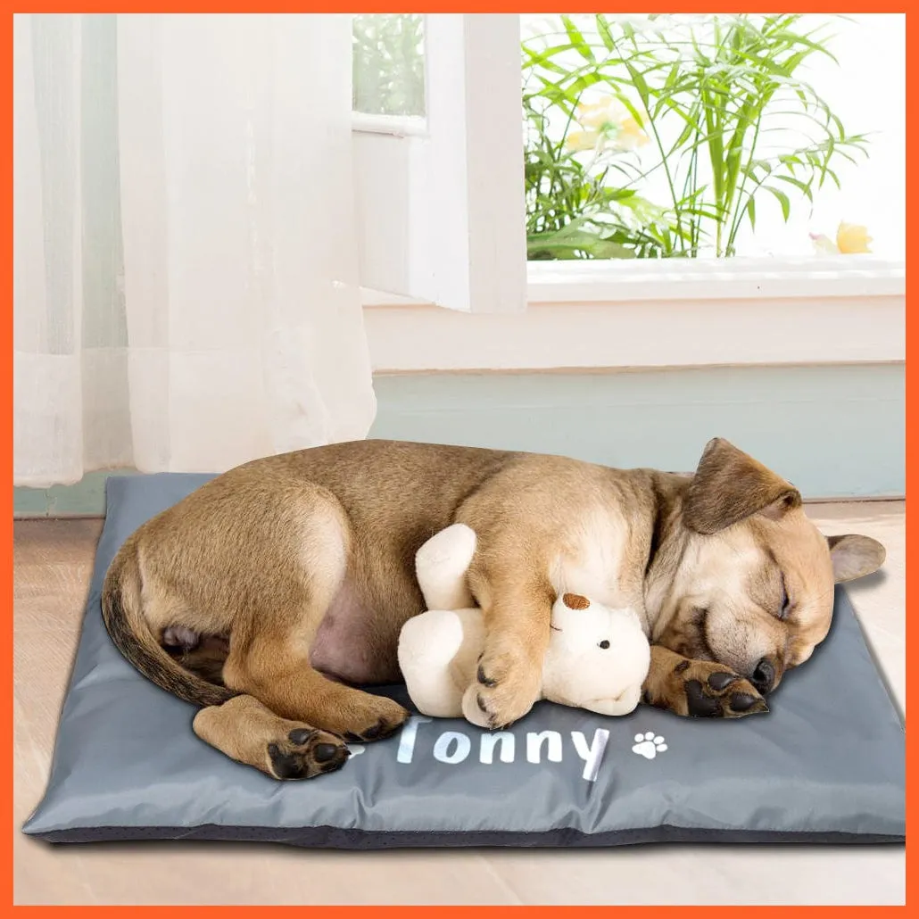Dogs Cat Waterproof Pet Sleeping Mat Warm Sofa Cushion Mattress Bed Pet Blanket
