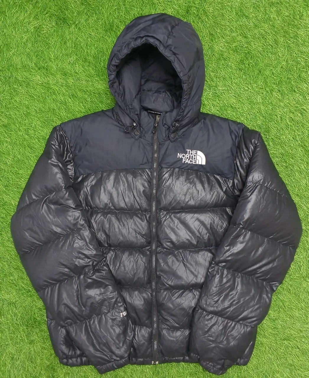 The North Face Puffers 700 Series